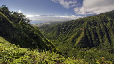 sights and sounds maui