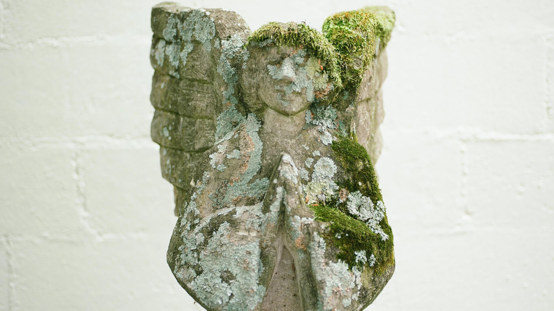 SouthwestSightsAndSoundsSpring2021_NashvilleTN_061