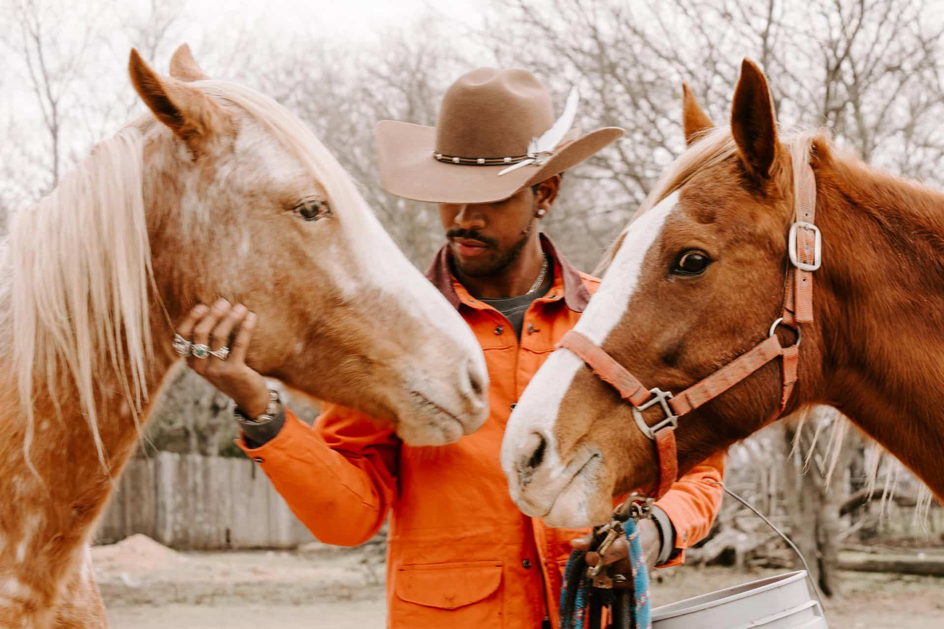 2023-AOTR-angle-white-32-crop